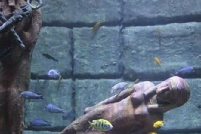 Antalya Aquarium